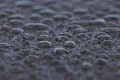 Wasserabweisende Oberfläche mit Tropfen als Demonstration der Hydrophobizität von Baumit-Produkten.